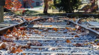 Train tracks covered in autumn leaves