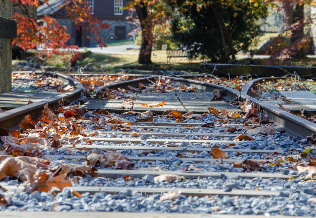 Train tracks covered in autumn leaves