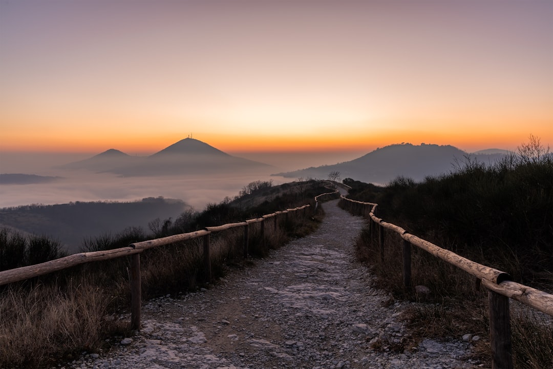 A winding path leads to misty mountains at sunrise.
